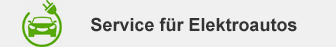 Auto & Service am Stadtwald Werne - Elektroautos